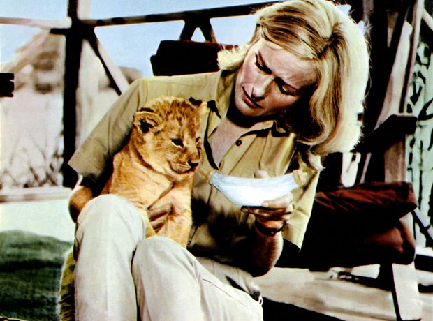 Born Free (1966)