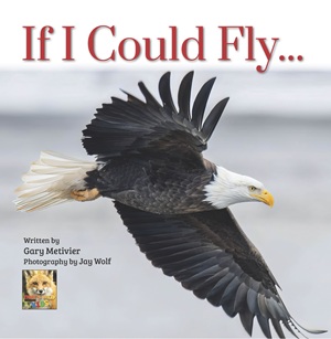 Author-Member Success Story: Gary Metivier, Author of My Mask. My War and If I Could Fly