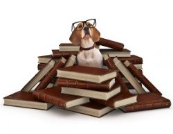 Overwhelmed by Book Marketing - How to Boost Your Productivity and Results without the Stress