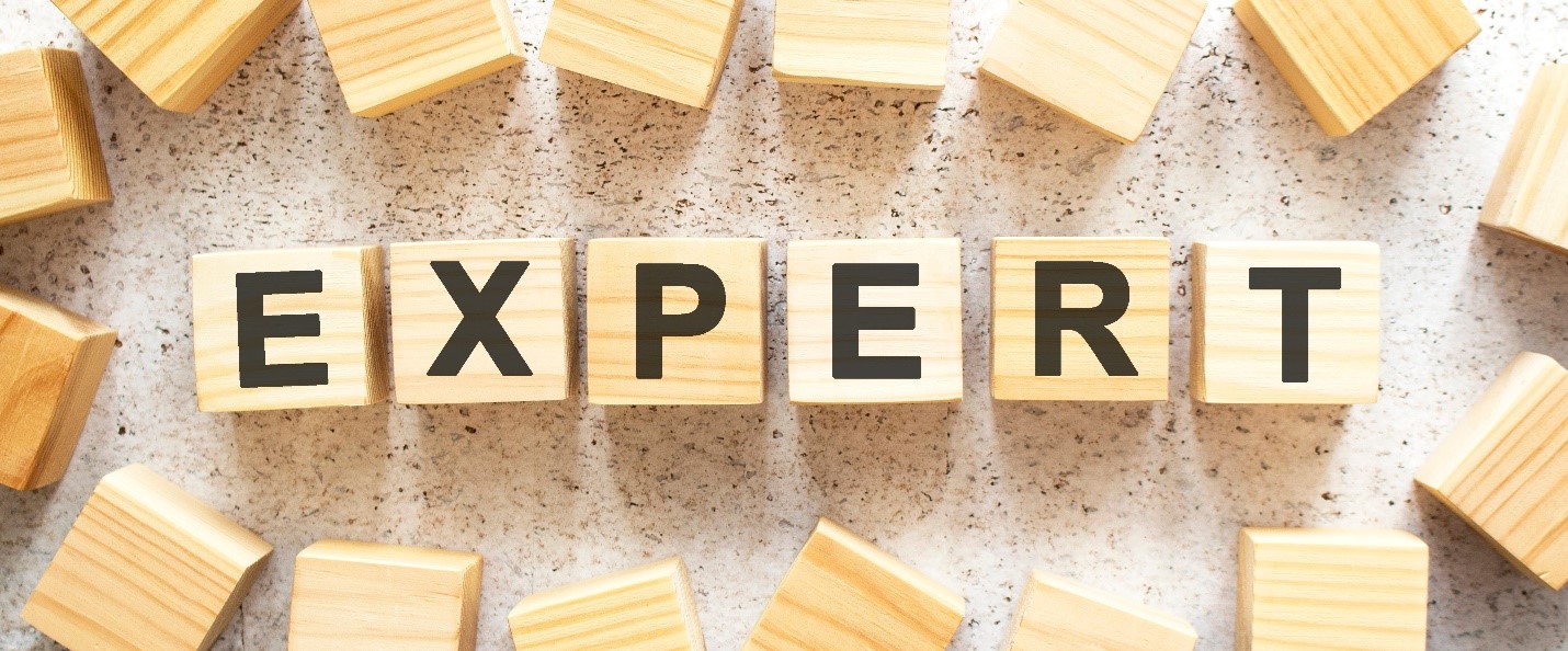 THOUGHT LEADER MEMBER BADGE - NONFICTION AUTHORS ASSOCIATION