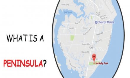 Member Interview: Latrece Johnson, author of What Is A Peninsula?